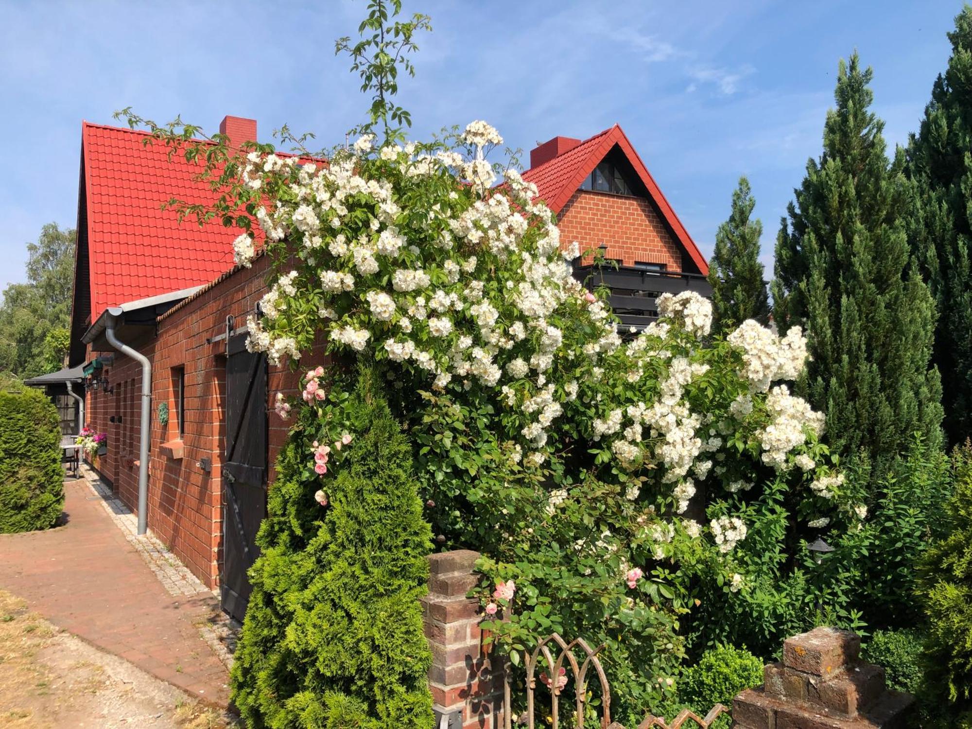 Landhaus Schlunt Вустров Экстерьер фото